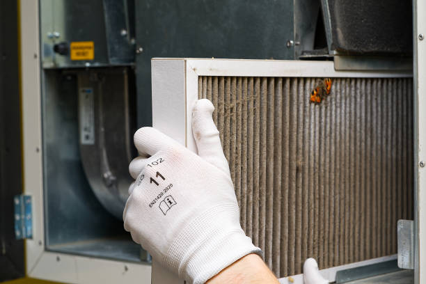Best Affordable Air Duct Cleaning  in Tawas City, MI